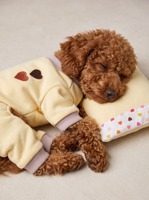 Winter Hearts Köpek Uyku Takımı | Pamuklu Penye Köpek Tulumu ve Mini Yastık | Küçük Irklar İçin | Tüy Dökülmesini Azaltır
