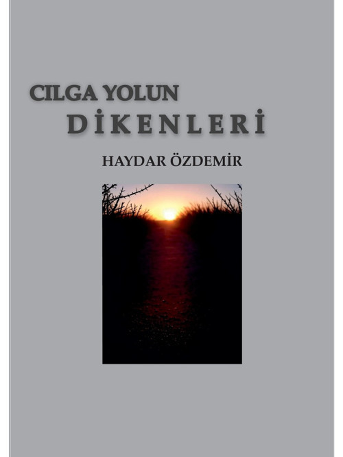 Kızılırmak Yayınları Cılga Yolu Dikenleri - Haydar Özdemir - 208 Sayfa - Türkçe Yayın