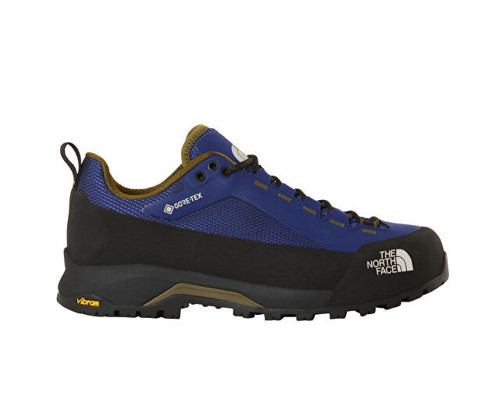 M VERTO ALPINE GORE-TEX Erkek Outdoor Ayakkabısı NF0A83ND0F81 Mavi