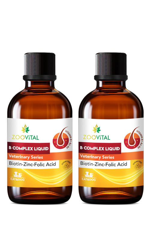 Tüy Dökülmeai Azaltıcı Ve Deri Sağlığı Destekleyici Kediler İçin Biotin Çinko Damla 50 Ml 2 Adet