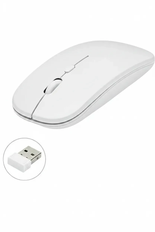 Mouse Şarjlı Çift Modlu Sessiz