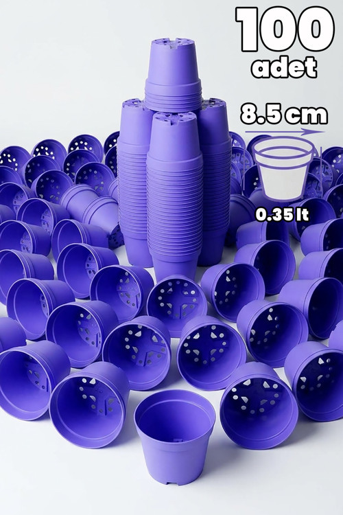 Kaktüs ve Sukulent Saksısı Bol Drenaj Delikli 8.5 cm çap Lila 100 Adet