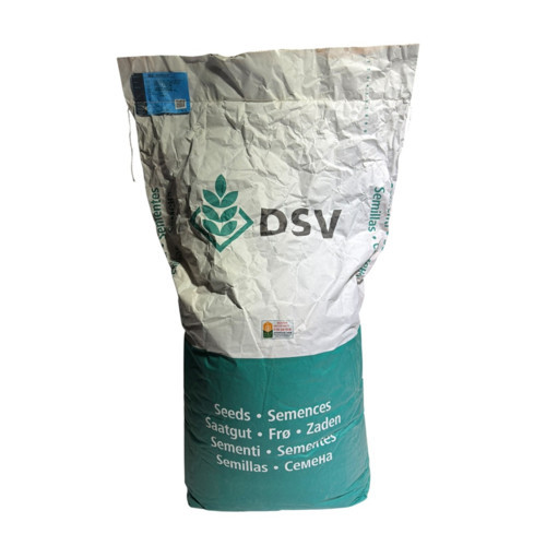 Dsv Pollaum Lolium Multiform İtalyan Çimi Süt Otu Tohumu 25 Kg
