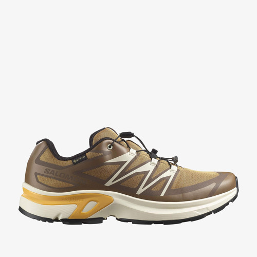 Xt Evr Goretex Erkek Outdoor Ayakkabı