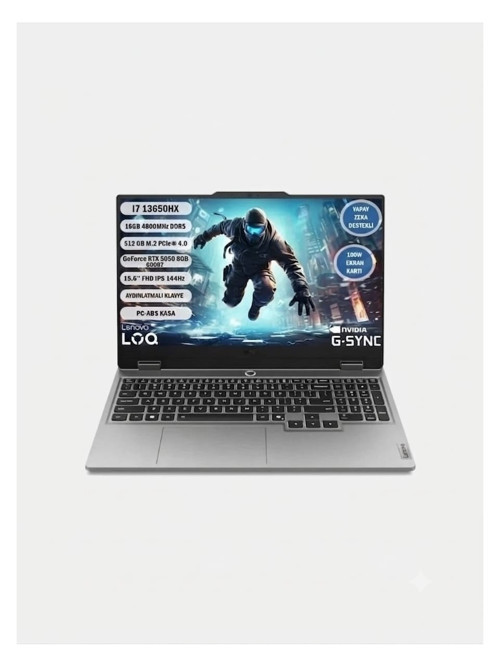 LOQ 15IRX10 83JE00JPTR-OMG245 15,6 inç DDR5 48GB 512GB SSD, Windows 10 PRO, Çanta + Mouse