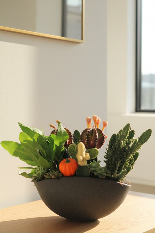 Premium Seramik Saksıda Çoklu Canlı Kaktüs ve Sukulent Aranjmanı (28x15x26 cm)