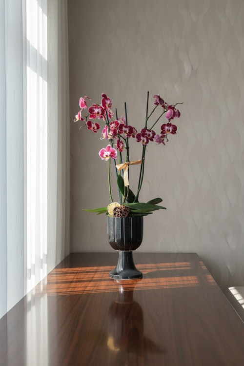 Phalaenopsis 3 dallı orkide alacalı mor renkli