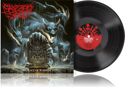 FROZEN SOUL - NO PLACE OF WARMTH - 1 PLAK