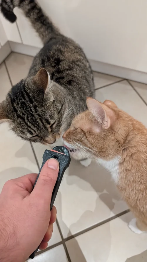 Kedi Sıvı Ödül Maması Sıkacağı - Aparatı (Dispanser)