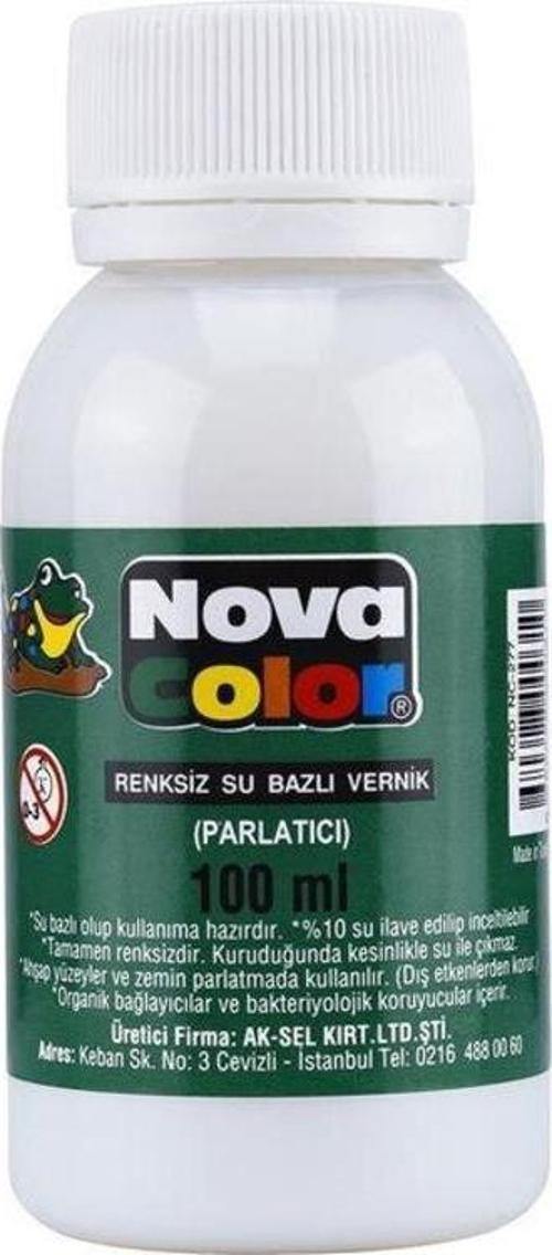 Resim Verniği 100 ml