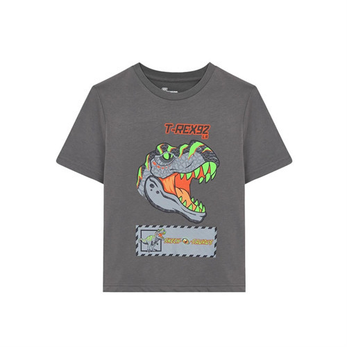 Graphic Tee B Çocuk T-Shirt SK241093-035