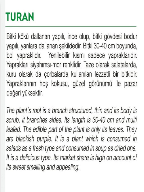 DAL TARIM Ata Tohumu Yerli Mor Reyhan Turan 1000 Adet Tohum