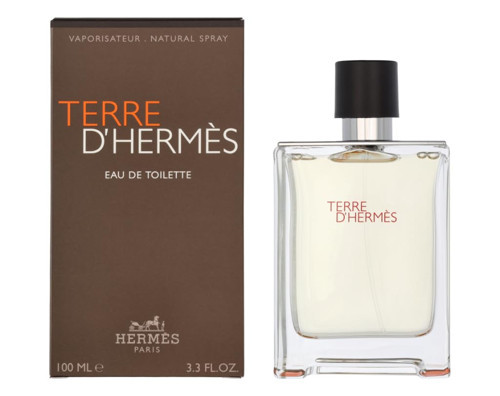 mès Terre D Erkek Parfüm 100Ml Edt