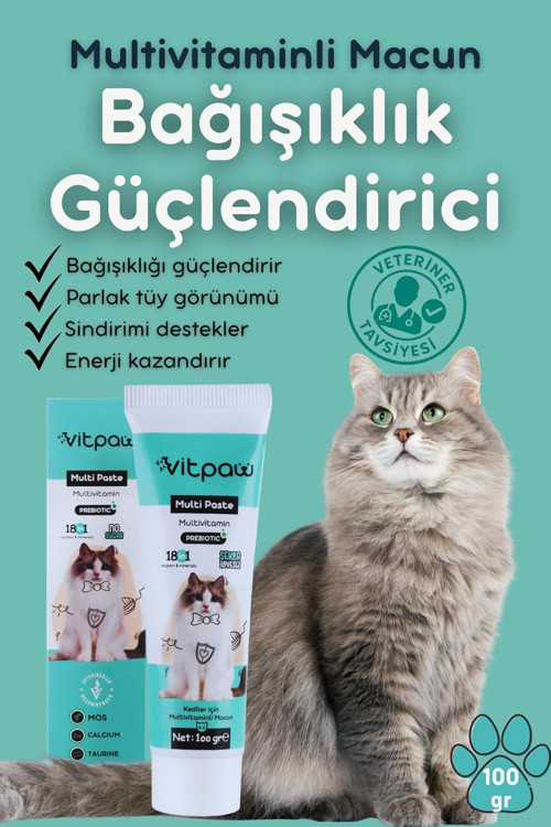 Multi Paste 100 Gr.(KEDİLER İÇİN BAĞIŞIKLIK GÜCLENDİRİCİ VE TÜY YUMAĞI ÖNLEYİCİ MULTİVİTAMİN)