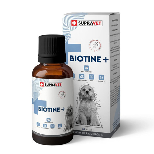 Biotine Dog Deri Tüy Sağlığı Damla 100 Ml