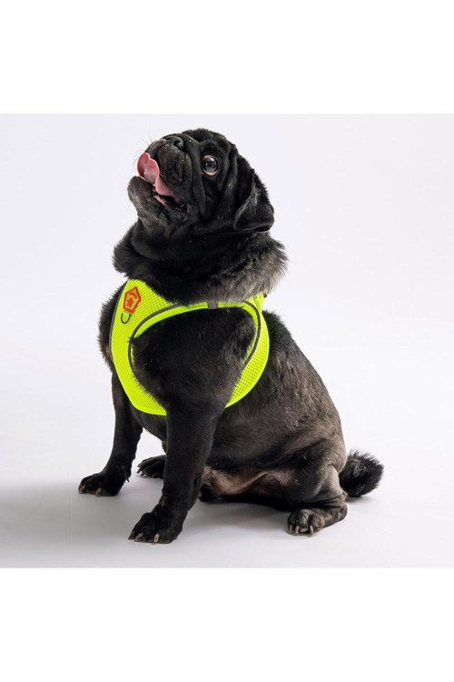 Neon Sarı Air-mesh Göğüs Tasması Kedi Köpek Göğüs Tasması Neon Sarı XS