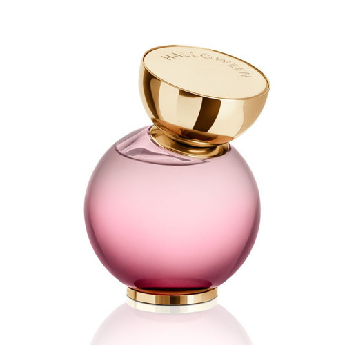 My Wish EDP 100 ml Kadın Parfüm