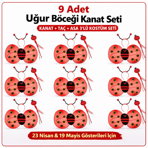 9’lu Uğur Böceği Ateş Böceği Kostüm Seti – Kanat Taç Asa (5680)