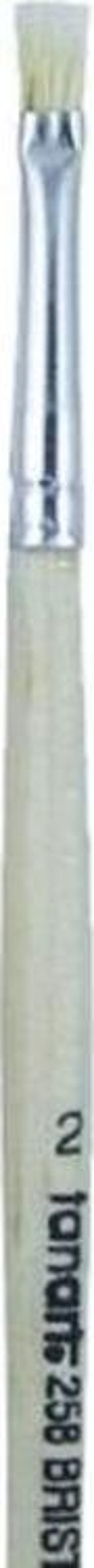 Seri 258 Sert Kıllı Yassı Fırça No: 2