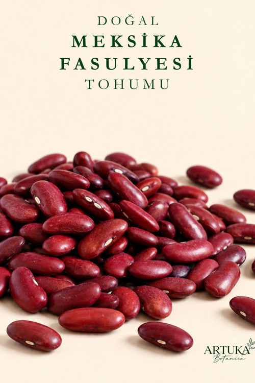 Doğal Meksika Fasulyesi Tohumu (50 Ad) | Ata Tohum