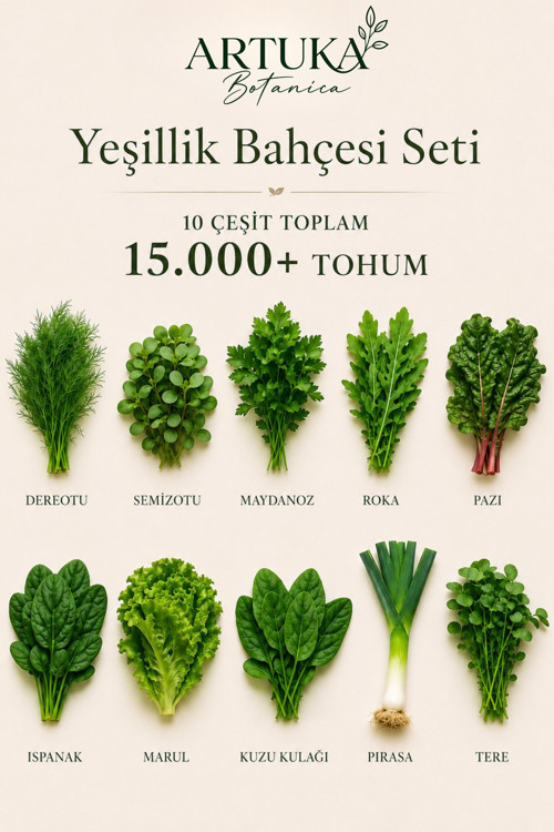 Yeşillik Bahçesi Tohum Seti 10 Çeşit 15.000+ Tohum | Maydanoz, Roka, Tere, Ispanak, Marul, Dereotu, Pazı, Semizotu, Kuzu Kulağı, Pırasa