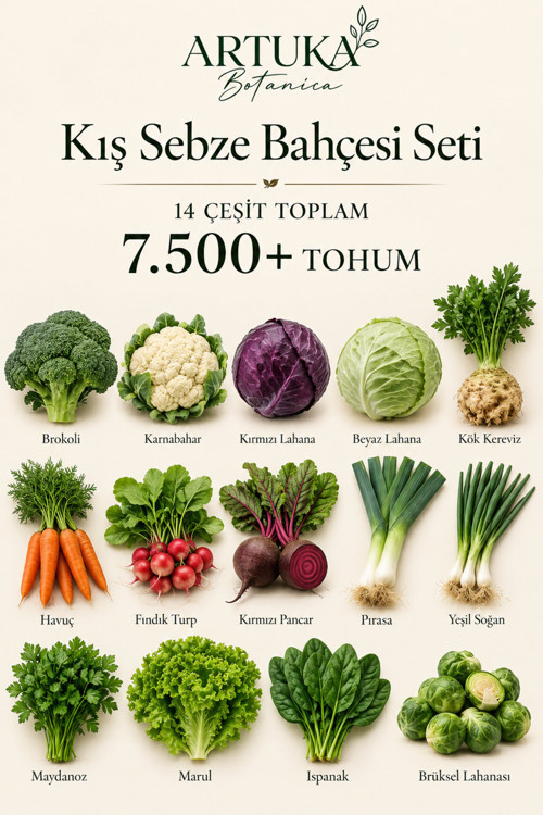 Kış Sebze Bahçesi Tohum Seti 14 Çeşit 7.500+ Tohum