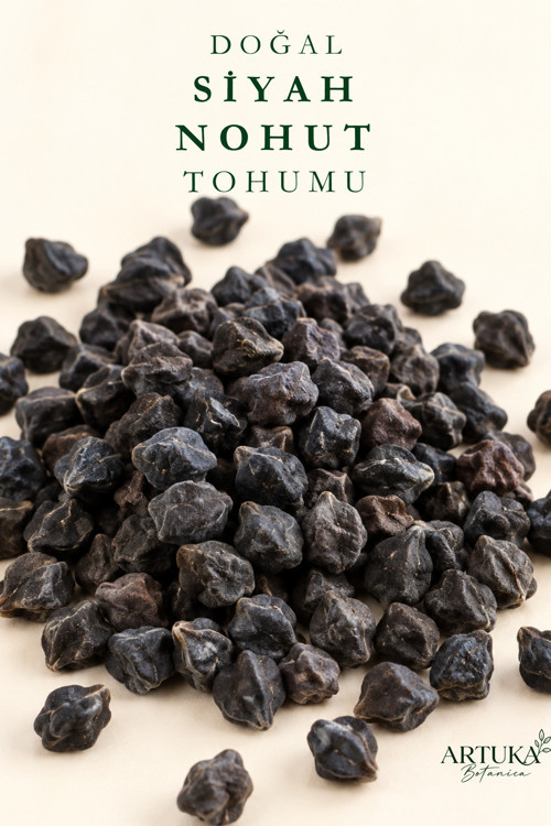 Doğal Siyah Nohut Tohumu (50 Ad) | Ata Tohum