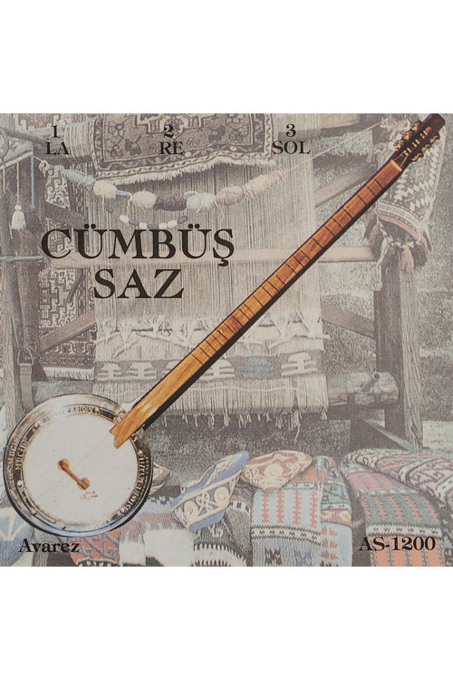 Sazbüş Teli Takım