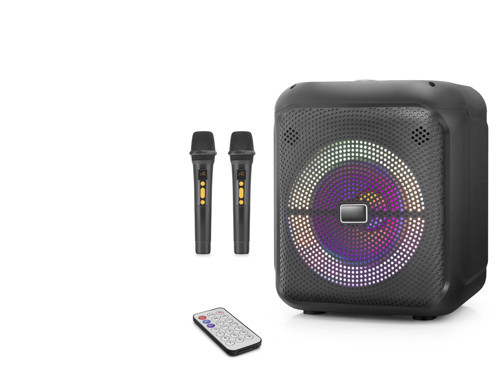 Çift Karaoke Mikrofonlu Bluetooth Hoparlör Fm Radyo 20W 10.5 İnç Rgb Kumandalı Siyah NDR2210