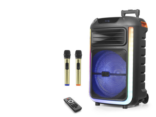 Çift Karaoke Mikrofonlu Bluetooth Hoparlör Fm Radyo 40W 15 İnç Rgb Kumandalı Siyah NDR325