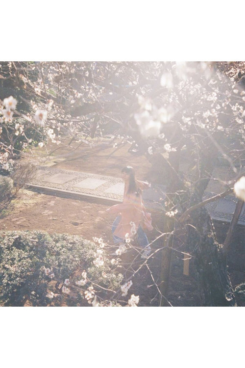 Kaneko Ayano – Hikareai CD