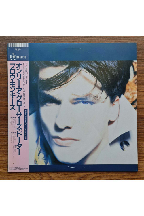 The Blow Monkeys – She Was Only A Grocer's Daughter