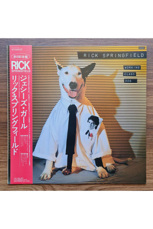 Rick Springfield – Working Class Dog
