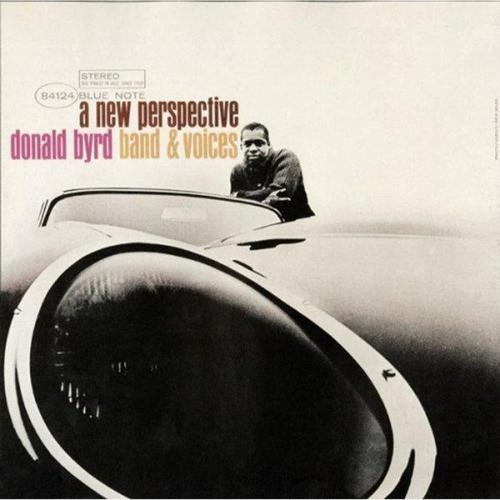 A New Perspective Plak