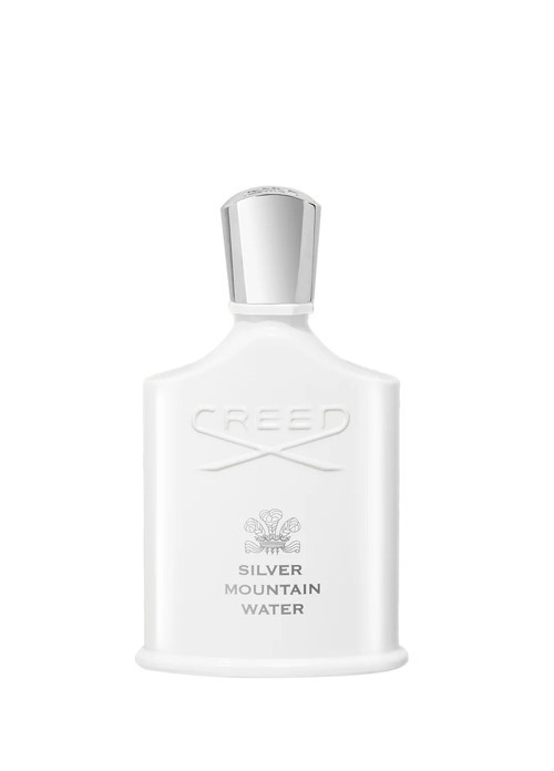 Silver Mountain Water EDP 100 ml Parfüm