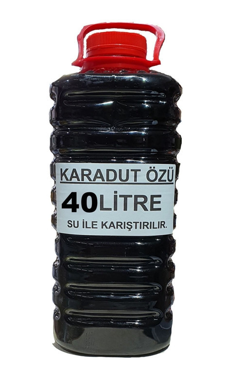 Karadut Özü 40 Litre