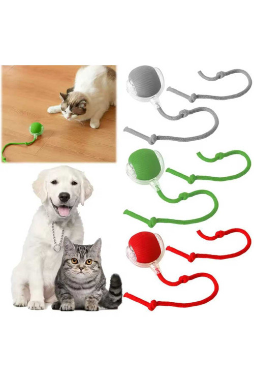 Kedi Köpek Hareketli 360 Derece Dönen Usb Başlıklı İpli Oyun Topu Oyuncağı