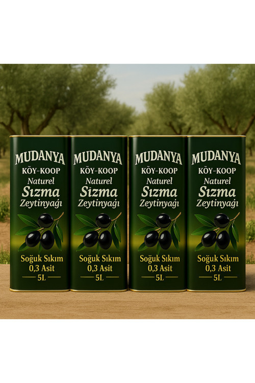 Mudanya Soğuk Sıkım Natürel 0,3 Asit Zeytinyağı 4X5L 4 Adet