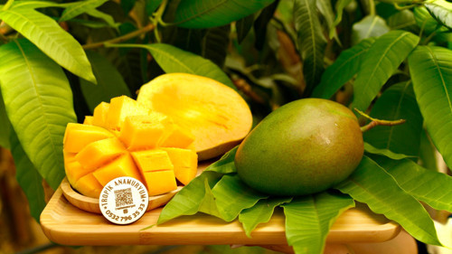 1 Adet Mango Meyvesi Yerli