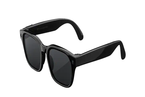 Adventurer Large Classic Black Polarized