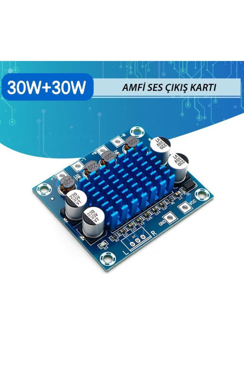 Tpa3110 Dijital Stereo Anfi 2x 30w 2.0 Amfi Devresi Kartı Bordu