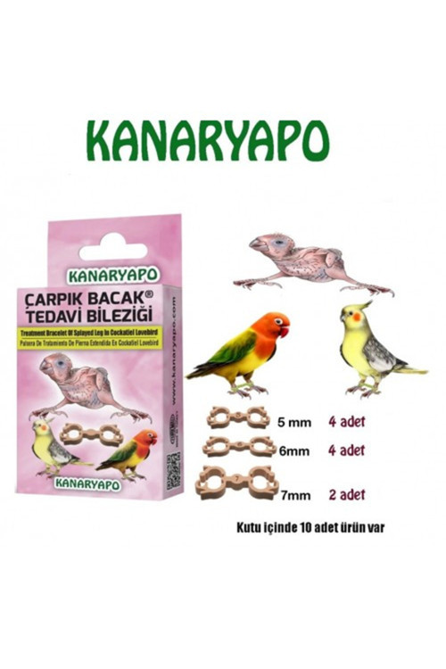 Sultan Cennet Sevda Papağanı Çarpık Bacak Aparatı