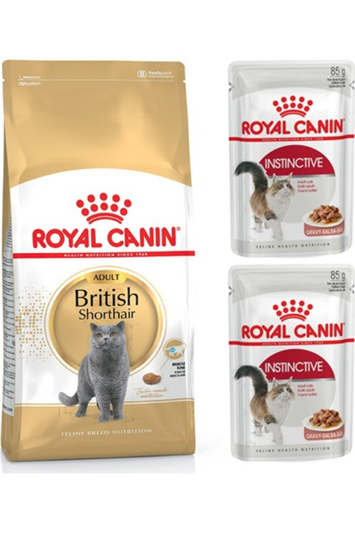 Adult Yetişkin British Shorthair Kedi Maması 2 kg + Instictive Parça Etli Y