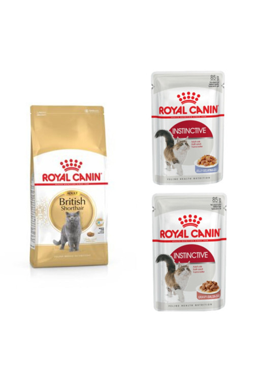 British Shorthair Yetişkin Kedi Maması 2 kg + 2 Adet Instinctive Yaş Mama 85 gr