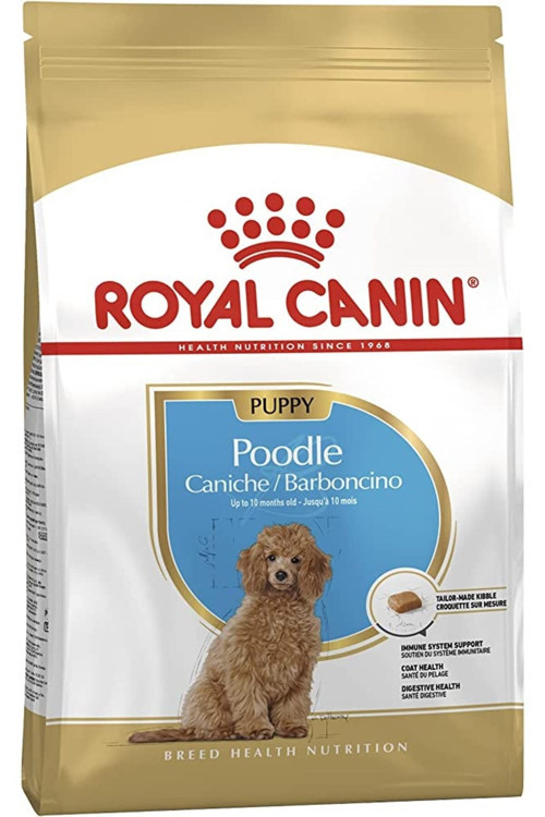 Poodle Yavru Köpek Kuru Maması