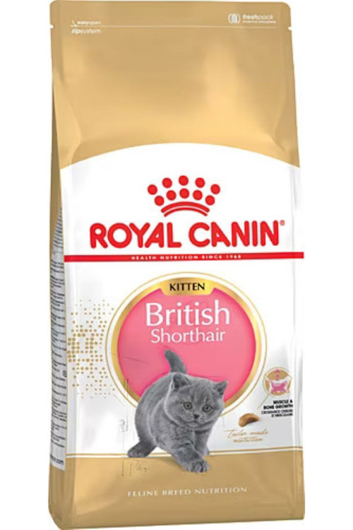 British Shorthair Kitten Kedi Kuru Maması 2KG