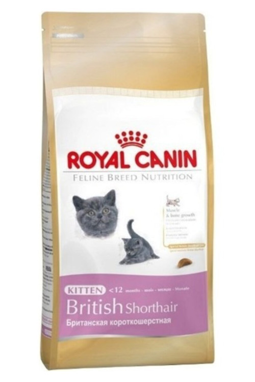 Feline Kitten British Shorthair Yavru Kedi Maması 2 kg