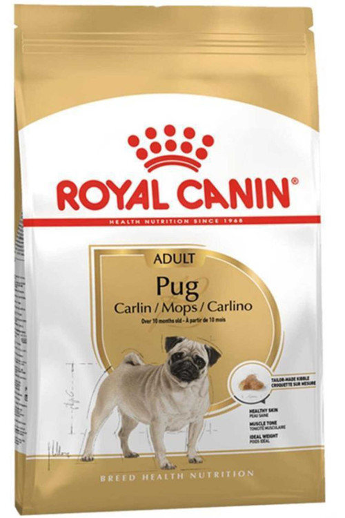 Adult Pug 1,5 Kg