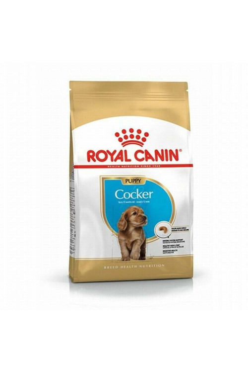 Cocker Spaniel Puppy Yavru Köpek Maması 3 Kg - Petshopundan