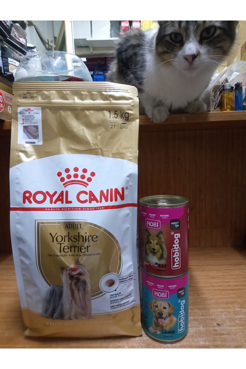 Yorkshire Terrier Adult Yetişkin Köpek Kuru Maması 1.5 kg + 2 adet 400 gram köpek konserve